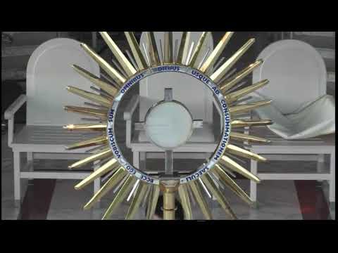 Адорация 28.07.2020