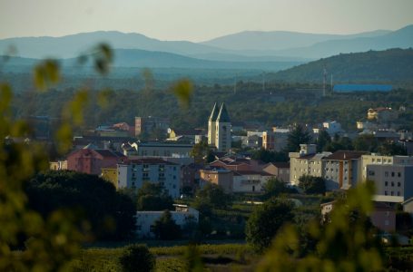 Лекарство с неба (Терезия Гажиова)