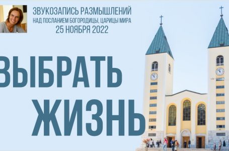 Звукозапись размышлений над посланием от 25.11.2022 (Терезия Гажиова)