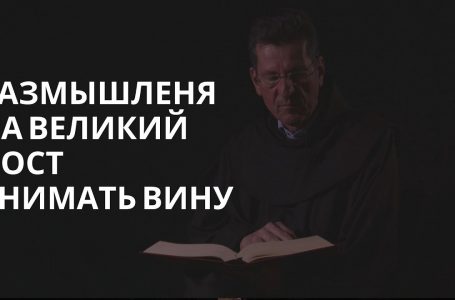 Снимать вину — fra Ante Vučković