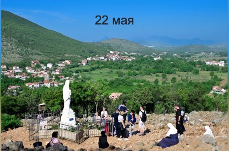 22 мая