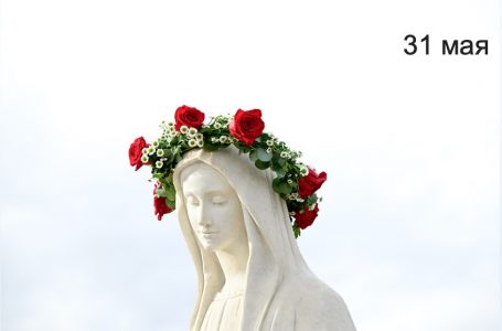 31 мая