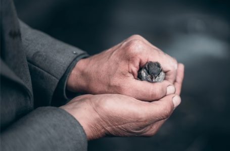 Сатана хочет сковать вас узами раздора и ненависти (отец Любо Куртович, OFM)