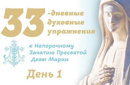 1 день — 5 ноября 2025