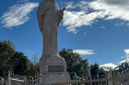 14 декабря 2025 — 3 Воскресенье Адвента