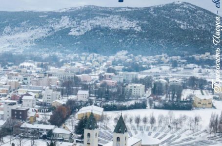 Свет Марии. Декабрь 2025